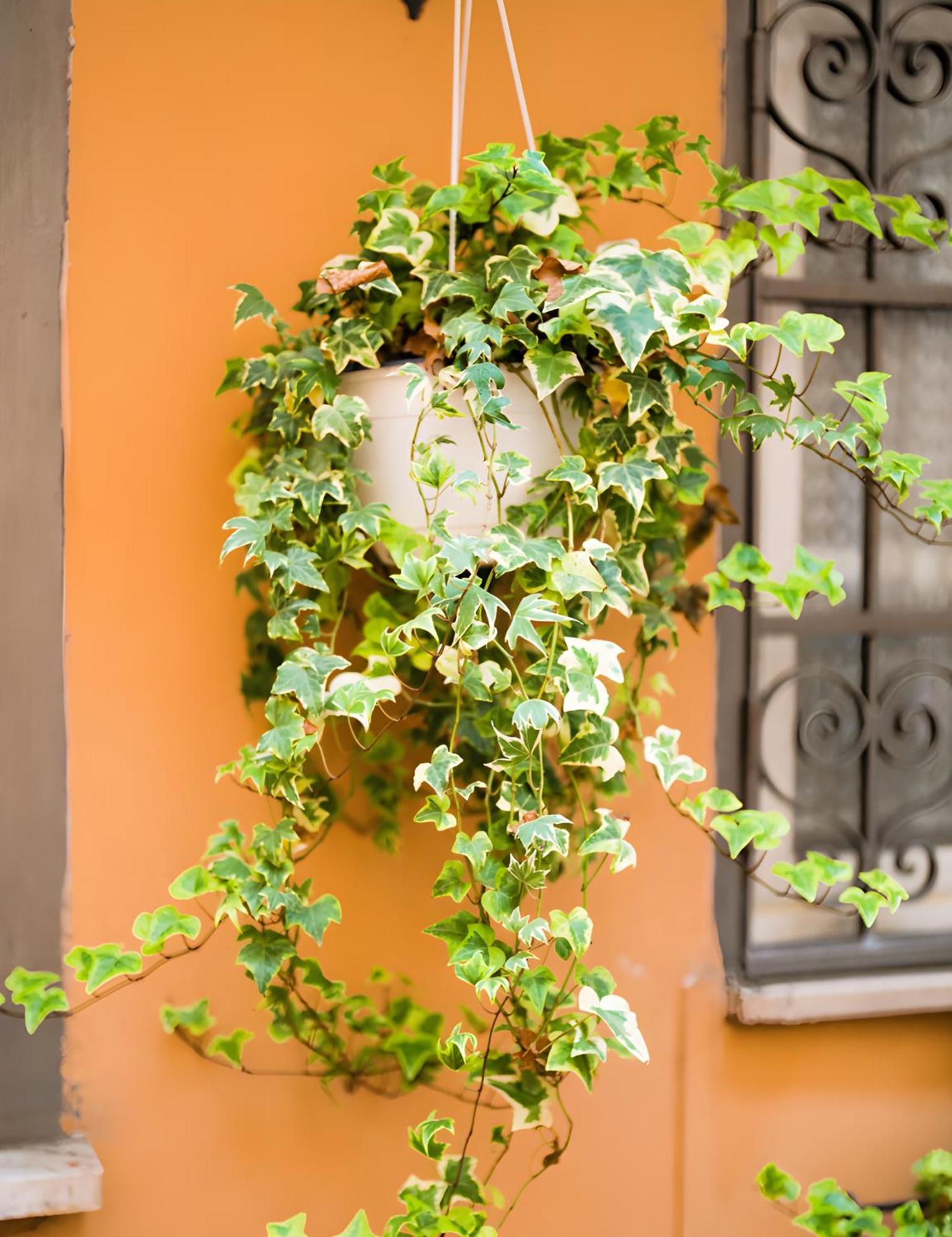 The Best Nest Roma Dış mekan fotoğraf